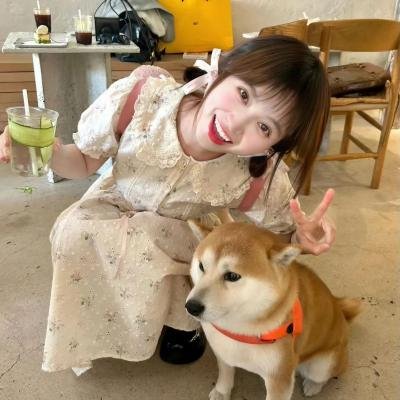海边的朝日与骗子们